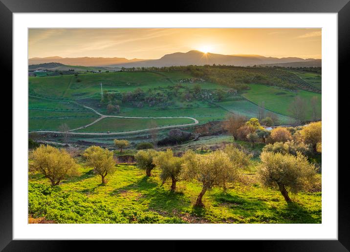 Olive orchards at sunrise, Ronda, Puente Nuevo.  Framed Mounted Print by John Finney