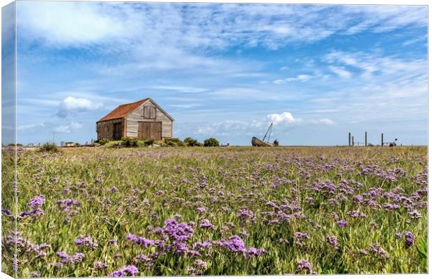Sea lavender surrounding the old coal barn Canvas Print by Gary Pearson
