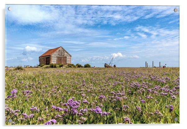 Sea lavender surrounding the old coal barn Acrylic by Gary Pearson