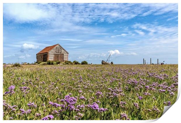 Sea lavender surrounding the old coal barn Print by Gary Pearson