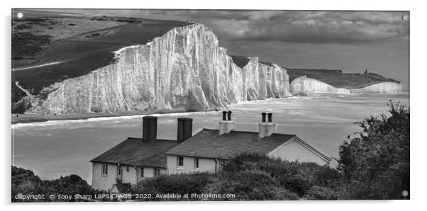 SEVEN SISTERS CHALK CLIFFS, EAST SUSSEX Acrylic by Tony Sharp LRPS CPAGB