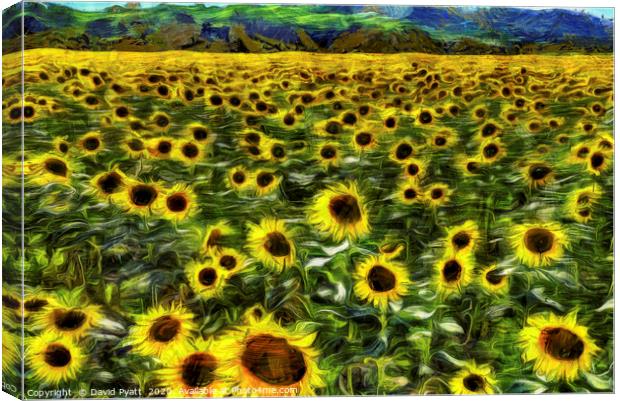 Sunflower Field Vincent Van Gogh Canvas Print by David Pyatt