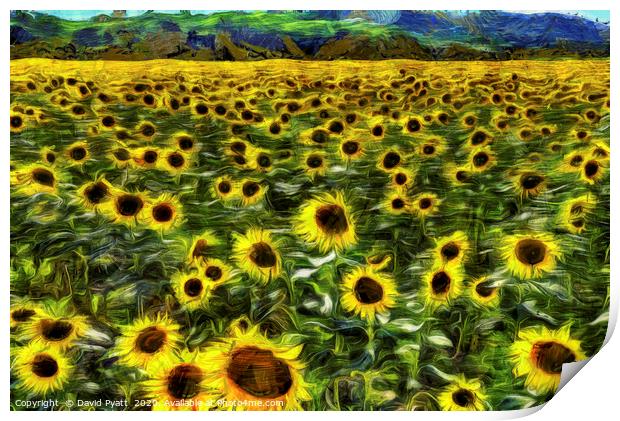 Sunflower Field Vincent Van Gogh Print by David Pyatt