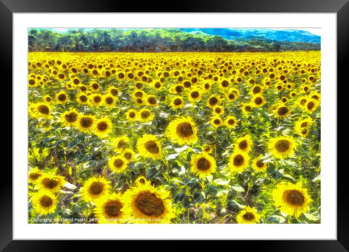 Sunflower Field Art Framed Mounted Print by David Pyatt