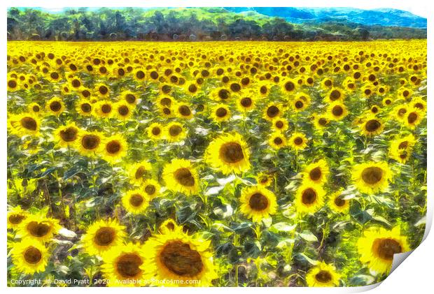 Sunflower Field Art Print by David Pyatt