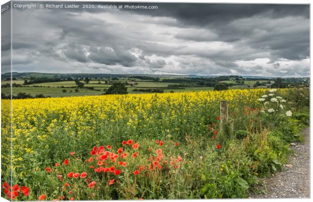 Poppies, Rape and a Moody Sky Canvas Print by Richard Laidler