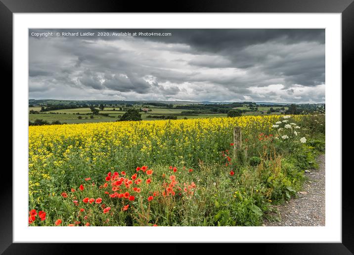 Poppies, Rape and a Moody Sky Framed Mounted Print by Richard Laidler