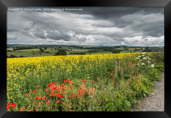 Poppies, Rape and a Moody Sky Framed Print by Richard Laidler