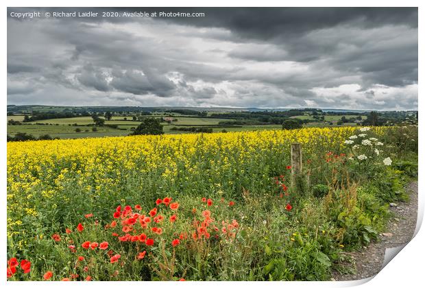 Poppies, Rape and a Moody Sky Print by Richard Laidler