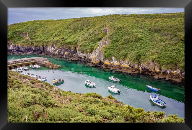 Looking down on Porthclais Harbour, Wales Framed Print by Chris Yaxley