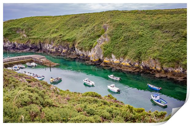 Looking down on Porthclais Harbour, Wales Print by Chris Yaxley