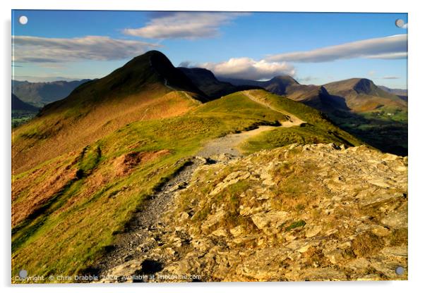 Catbells in cloud shadow, Cumbria, England         Acrylic by Chris Drabble