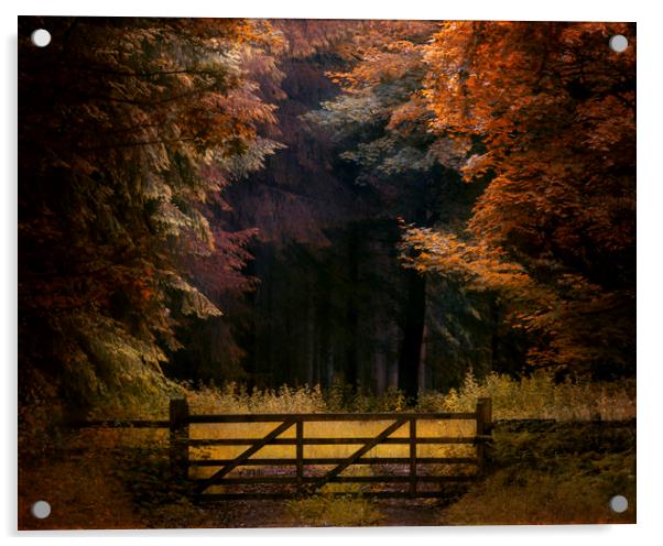 Woodland gate Acrylic by andrew bagley