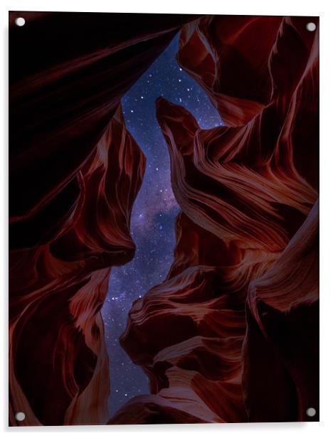 Sea Unicorn at Night Acrylic by BRADLEY MORRIS