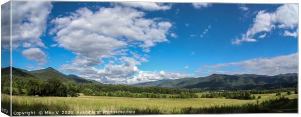 Great Smoky Mountain NP view from  Cades Cove, Ten Canvas Print by Miro V