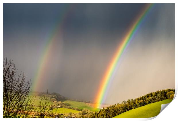 Double Rainbow Print by Mike Lanning