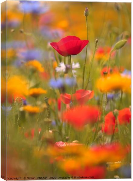 poppy and meadow flowers Canvas Print by Simon Johnson