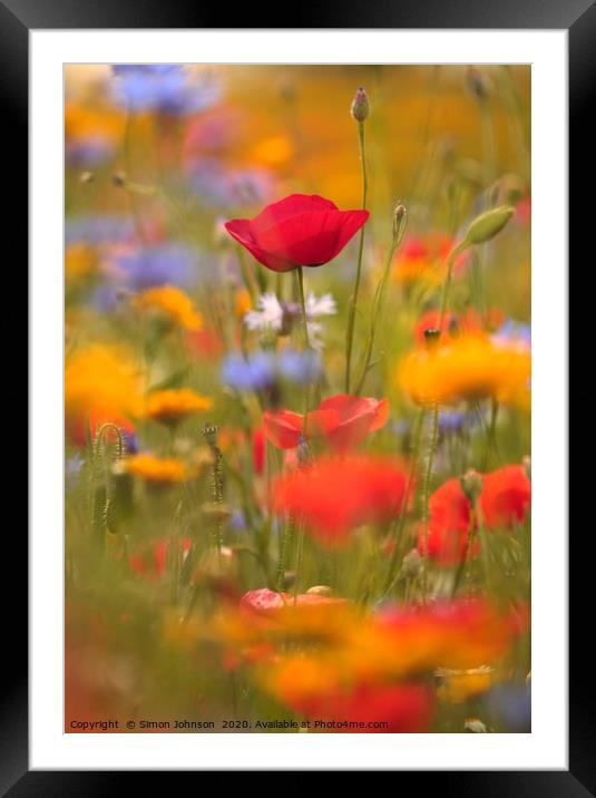 poppy and meadow flowers Framed Mounted Print by Simon Johnson
