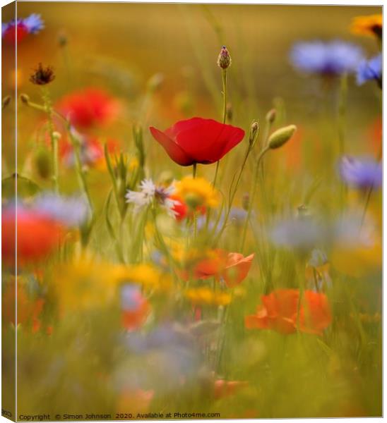Poppy and meadow flowers Canvas Print by Simon Johnson