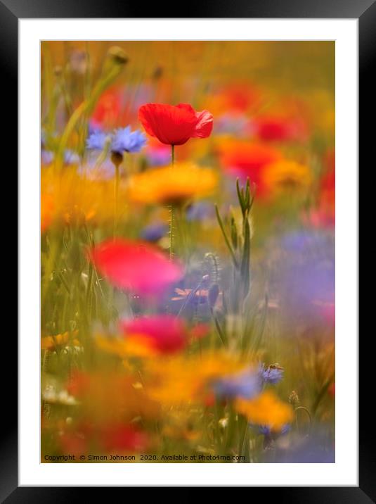 Meadow flowers Framed Mounted Print by Simon Johnson