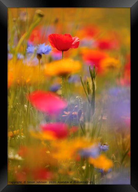 Meadow flowers Framed Print by Simon Johnson