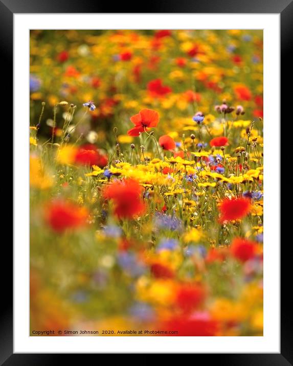 Cotswold summer meadow Framed Mounted Print by Simon Johnson