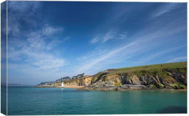 View towards St Mawes Castle Canvas Print by Mick Blakey