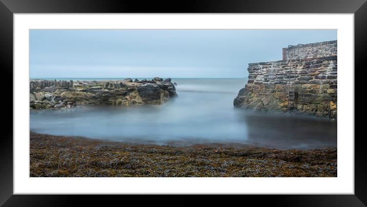 Harbour Wall and Seaweed, Portwrinkle, Cornwall Framed Mounted Print by Mick Blakey
