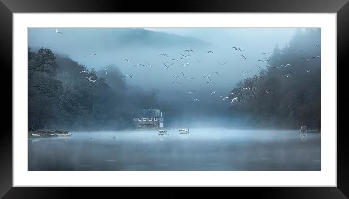 Gulls in the Mist, Lerryn, Cornwall Framed Mounted Print by Mick Blakey