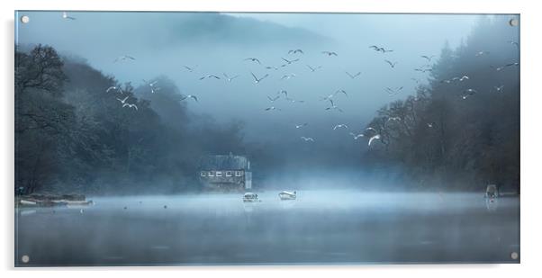 Gulls in the Mist, Lerryn, Cornwall Acrylic by Mick Blakey