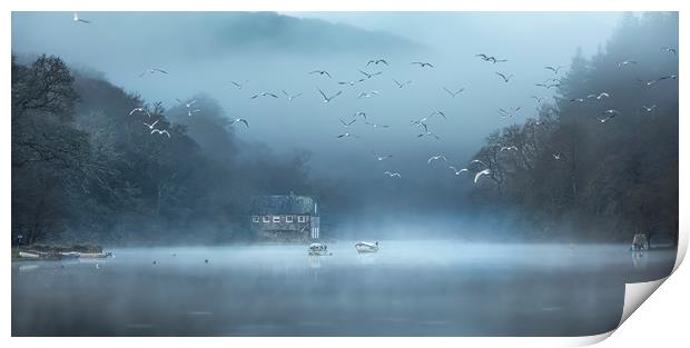Gulls in the Mist, Lerryn, Cornwall Print by Mick Blakey