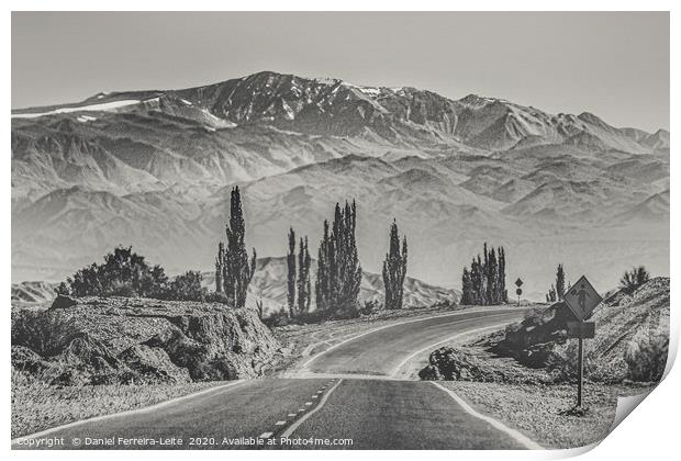 Deserted Landscape Highway, San Juan Province, Arg Print by Daniel Ferreira-Leite