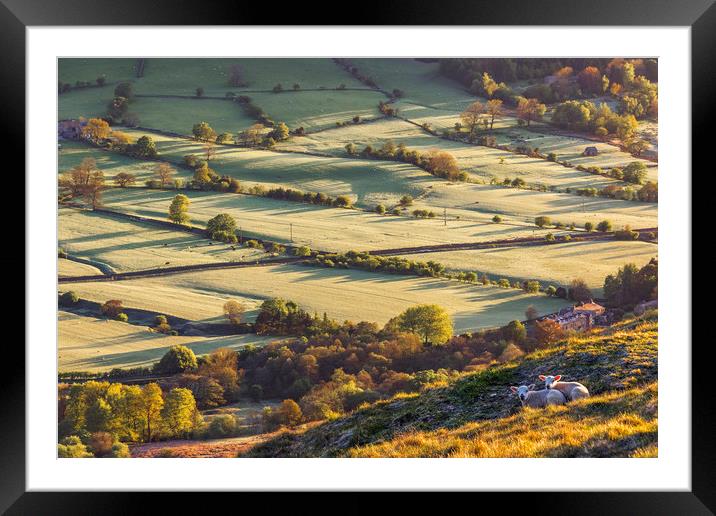 Two Spring Lambs, Peak District  Framed Mounted Print by John Finney