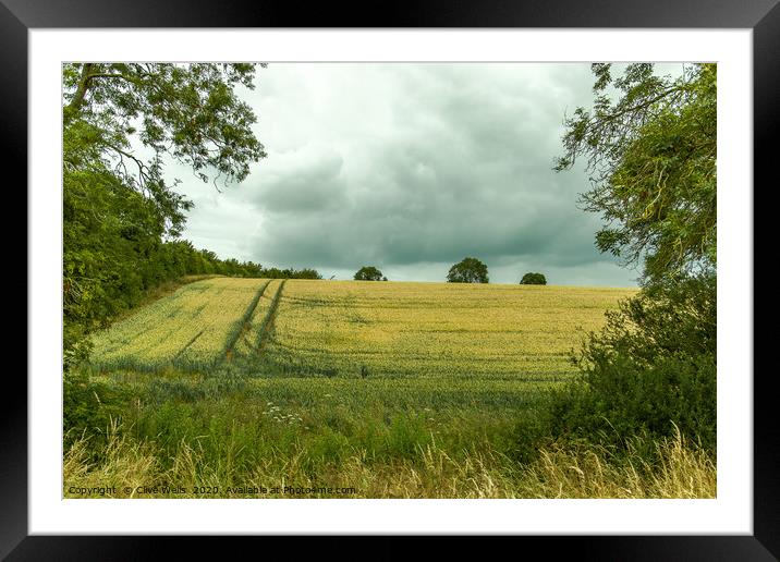 Tractor marks in the corn field at Blisworth, Nort Framed Mounted Print by Clive Wells