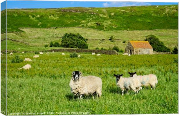 Yorkshire Moorland Summer Canvas Print by Martyn Arnold