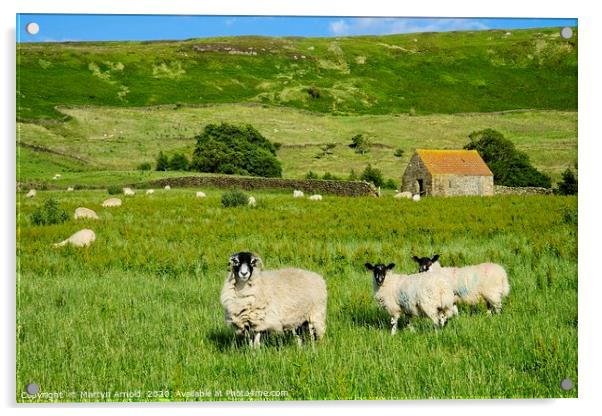 Yorkshire Moorland Summer Acrylic by Martyn Arnold