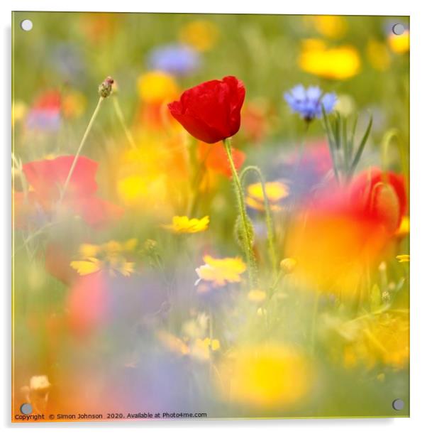 Wild flower meadow Acrylic by Simon Johnson