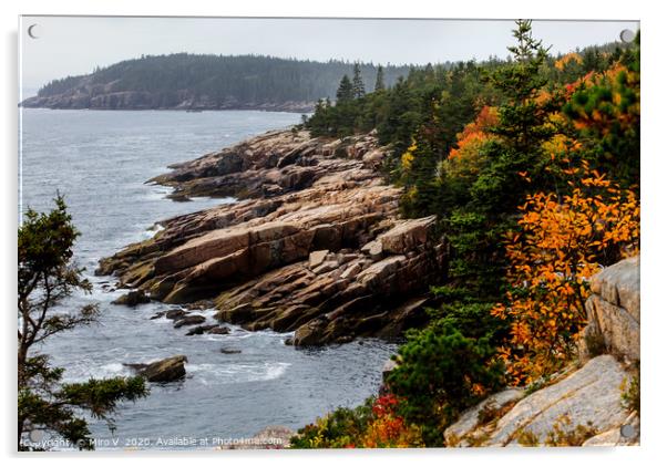 Rocky coastline with foliage colors Acrylic by Miro V