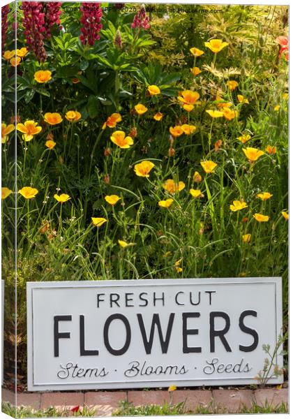 Garden flowers with fresh cut flower sign 0749 Canvas Print by Simon Bratt LRPS