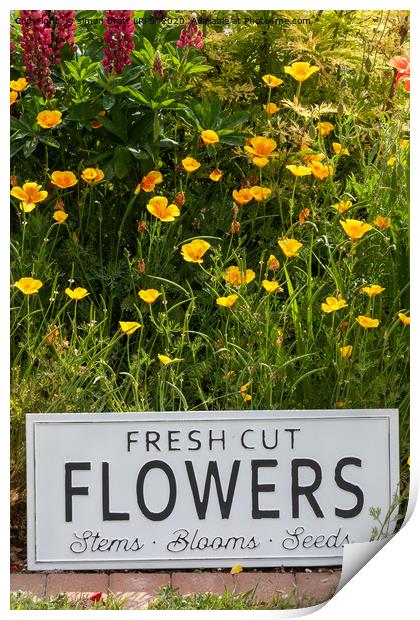 Garden flowers with fresh cut flower sign 0749 Print by Simon Bratt LRPS
