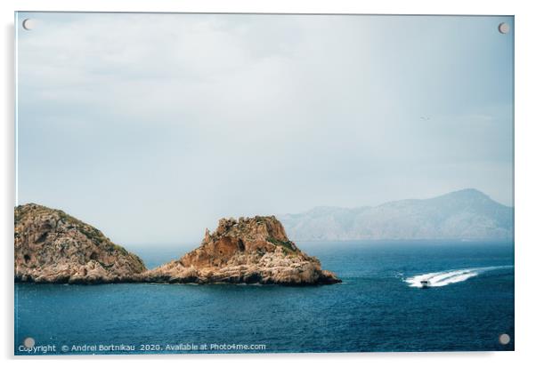 The yacht sails near the rocks Acrylic by Andrei Bortnikau