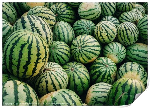 Green watermelons with black stripes Print by Andrei Bortnikau
