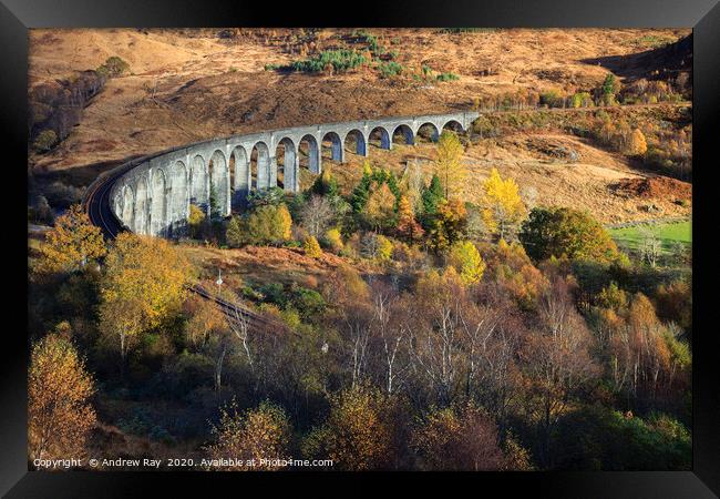 Glenfinnan Viaduct Framed Print by Andrew Ray