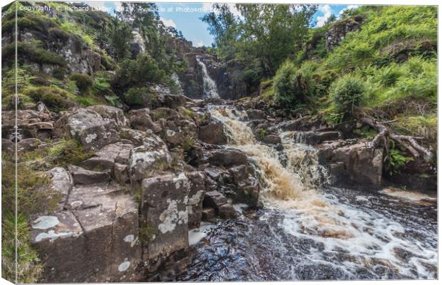 Blea Beck Force Waterfall, Upper Teesdale (1) Canvas Print by Richard Laidler