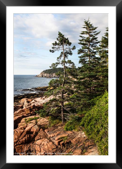 View from Acadia National Park in Summer with ocea Framed Mounted Print by Miro V