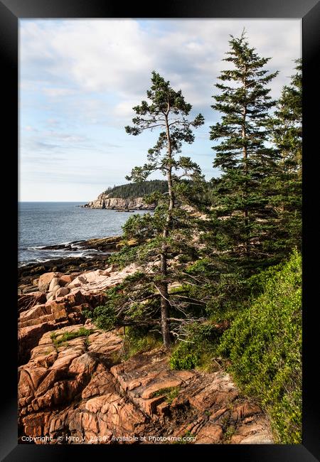 View from Acadia National Park in Summer with ocea Framed Print by Miro V
