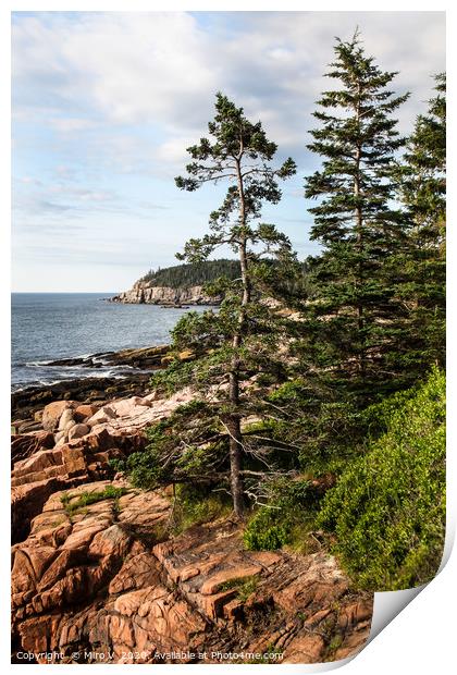 View from Acadia National Park in Summer with ocea Print by Miro V