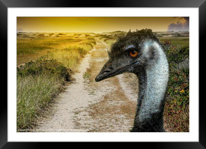 Road to sand dunes with emu Framed Mounted Print by Miro V