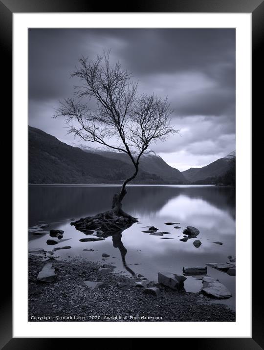 The Lonely Tree Framed Mounted Print by mark baker