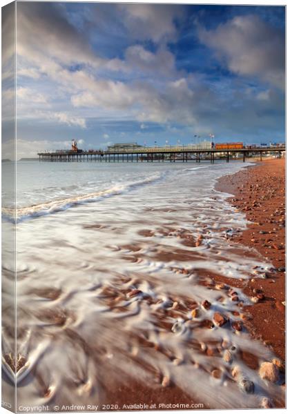 Paignton Beach Canvas Print by Andrew Ray